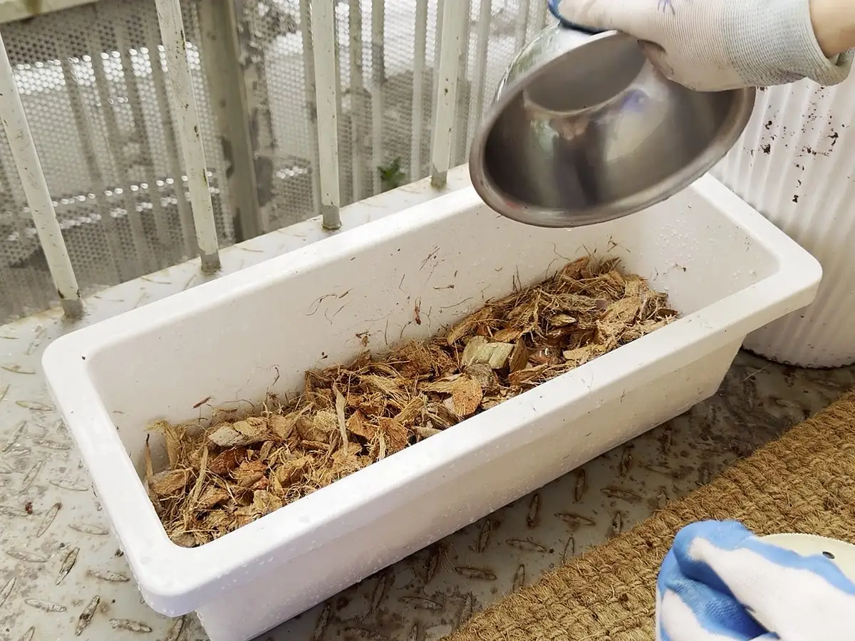 Water being poured from a metal bowl over coconut chips in a white planter