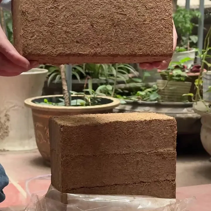 A gloved hand holding an unwrapped, compressed coconut coir brick above a planter