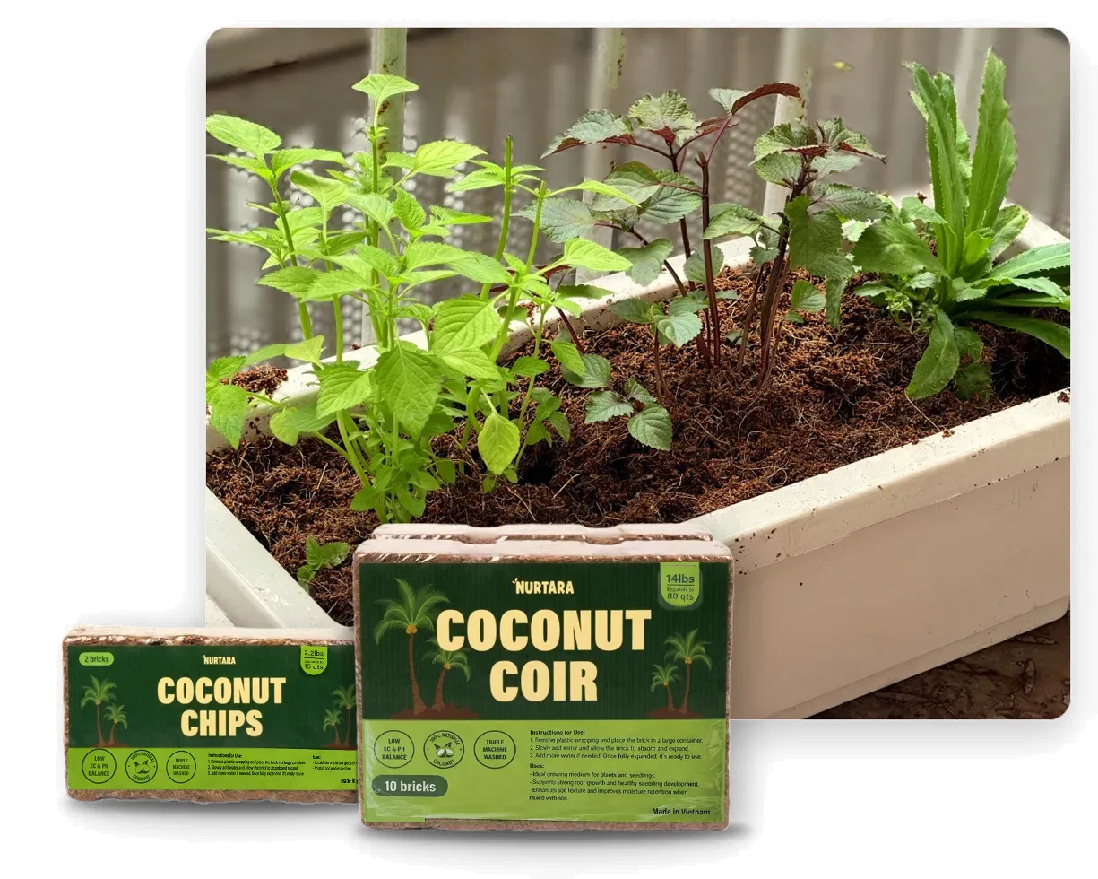 A NURTARA Coconut Coir 10-brick pack and a Coconut Chips 2-brick pack in front of a balcony planter of herbs growing in coir