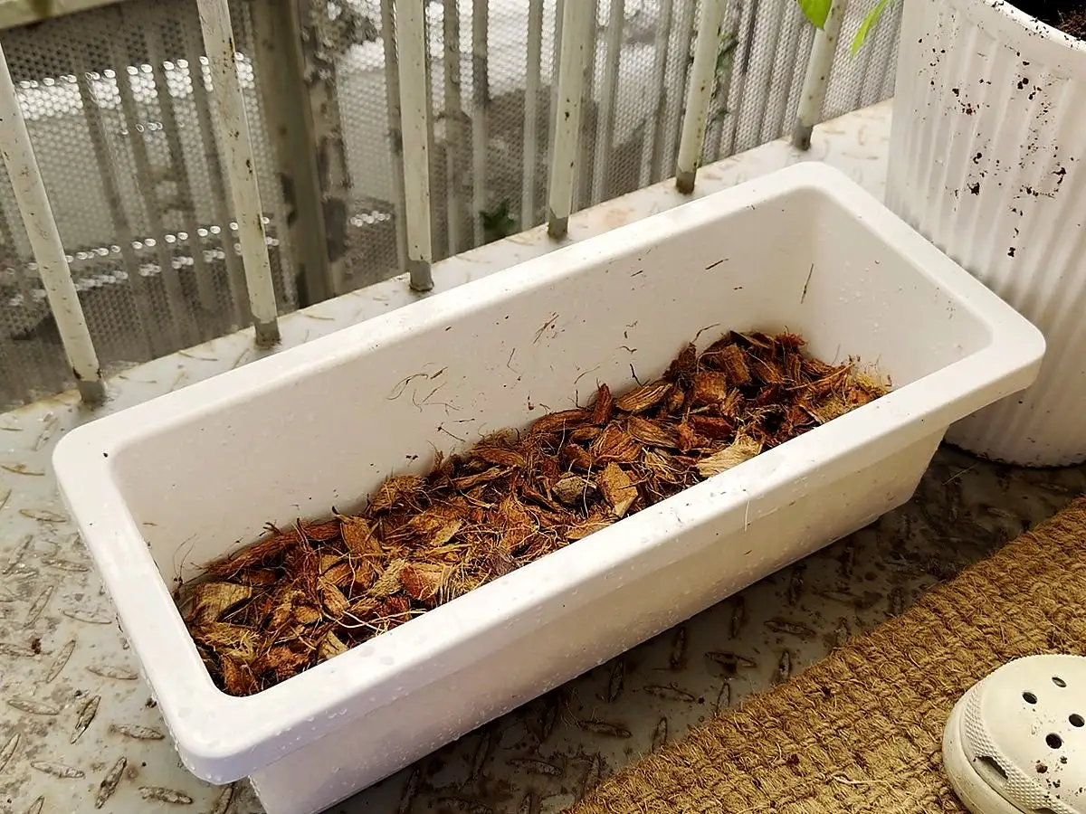 A white planter filled with a layer of expanded coconut chips